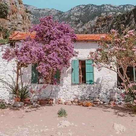 Butterfly Valley - Kelebekler Vadisi キャンプ場